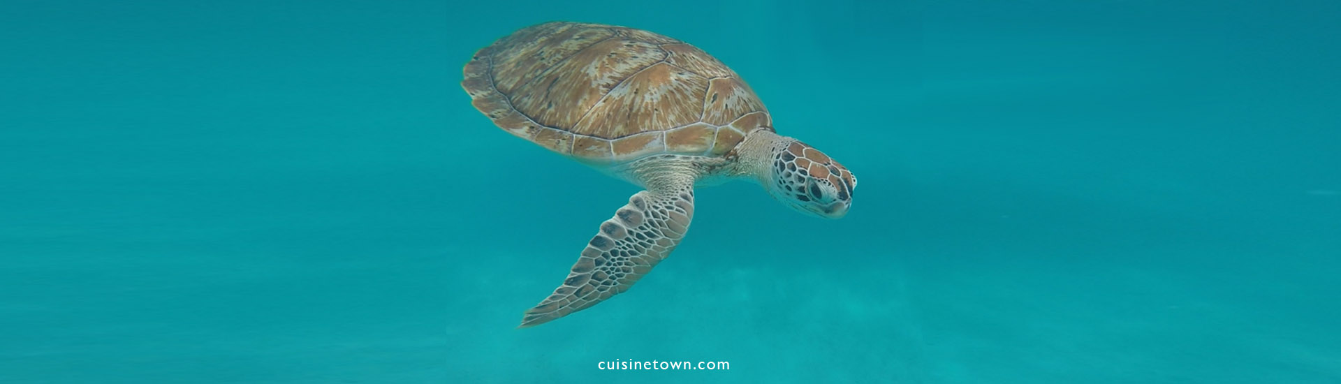 Redang Island Malaysia - Crystal Clear Water | cuisinetown.com